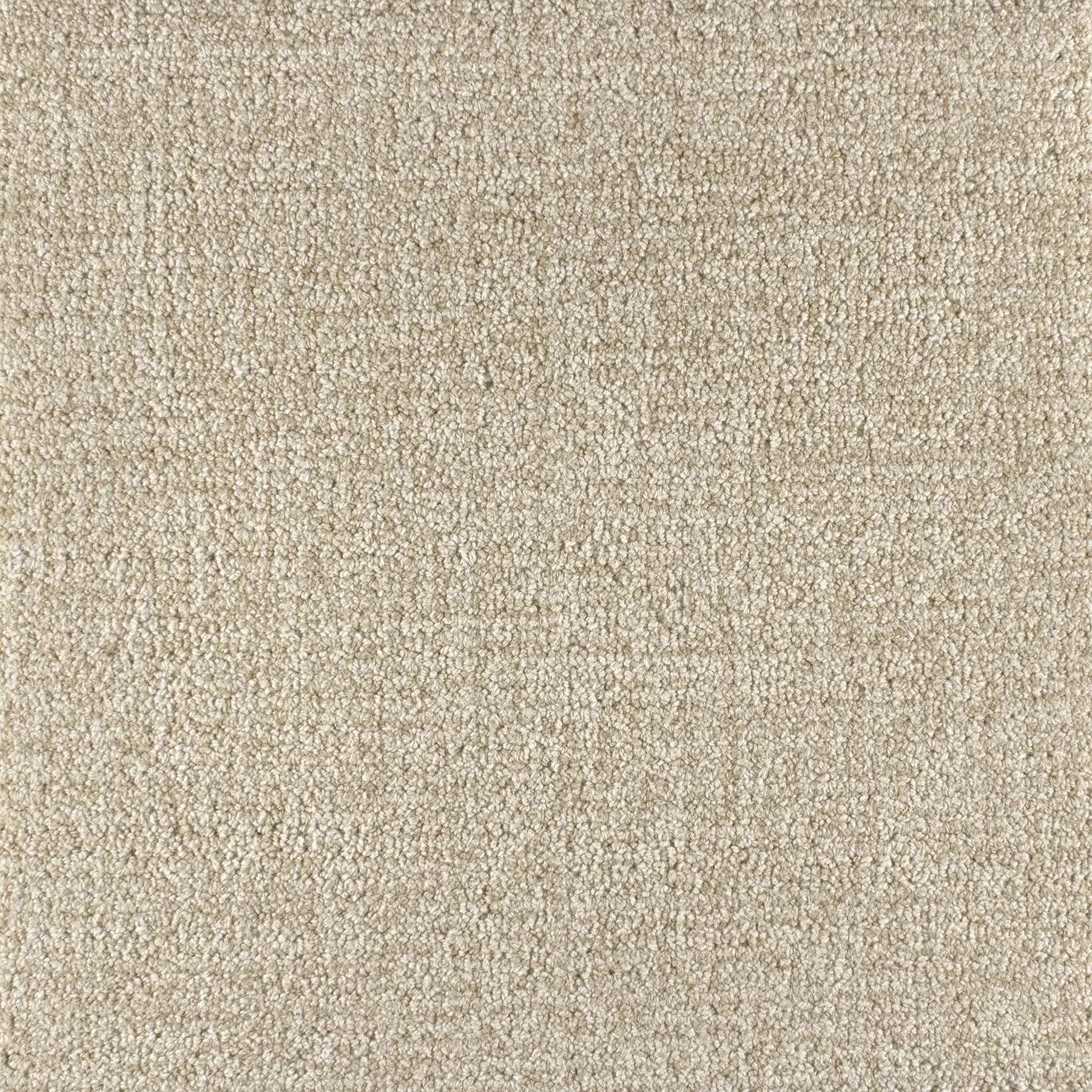 (QS) GR Focus B4 Sample | 18" x 18"
